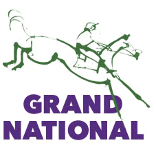 beginners guide to the grand national