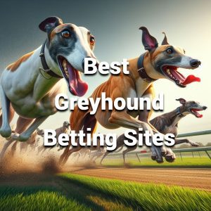 best greyhound betting sites