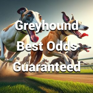 greyhound best odds guaranteed betting sites